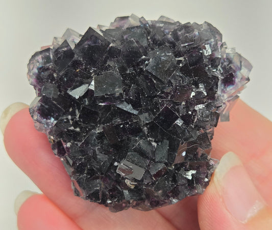 Okorusu Fluorite