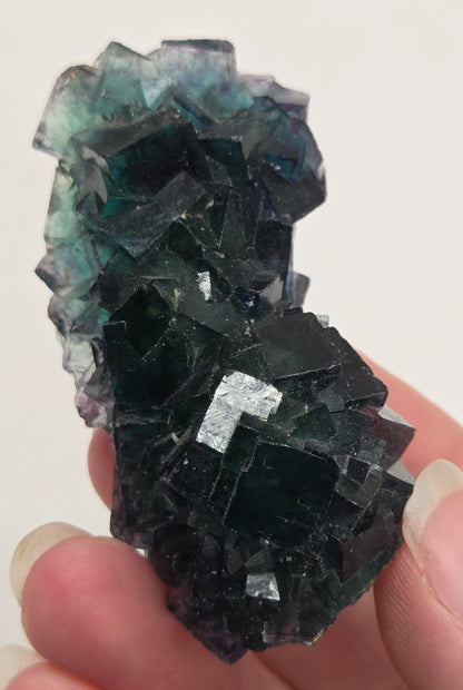Okorusu Fluorite