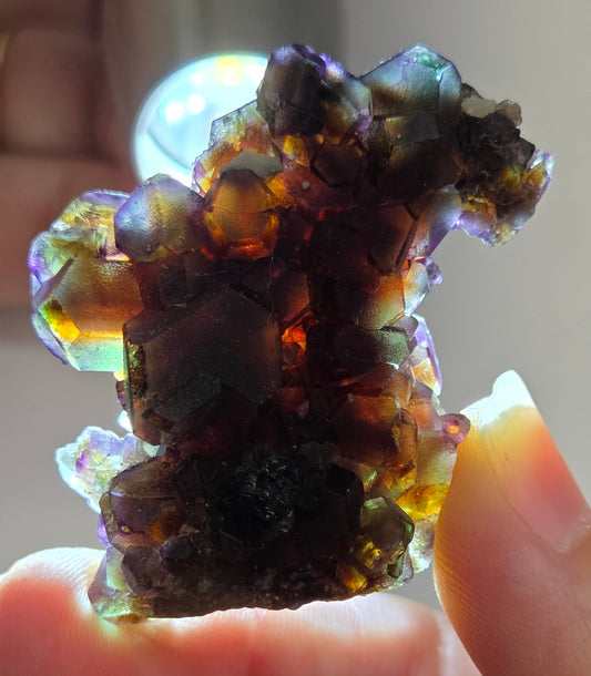 Erongo Fluorite