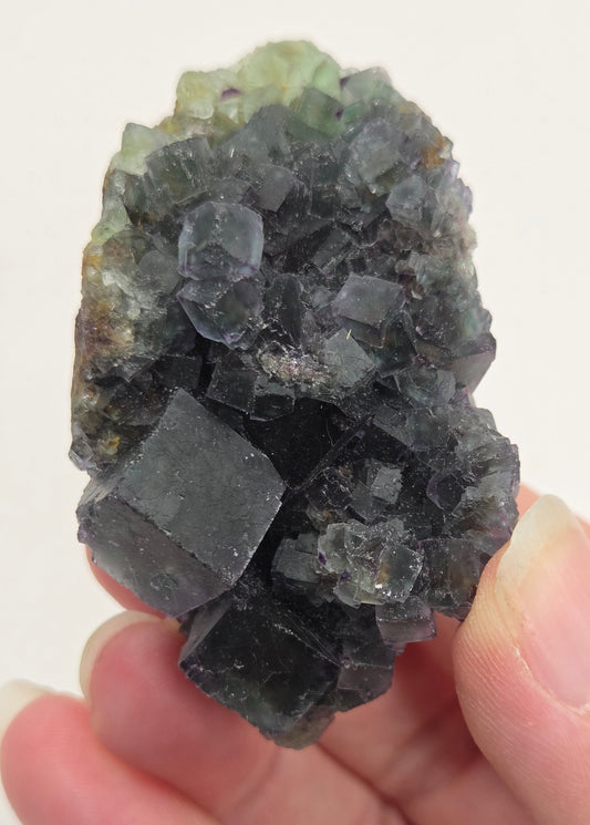 Okorusu Fluorite