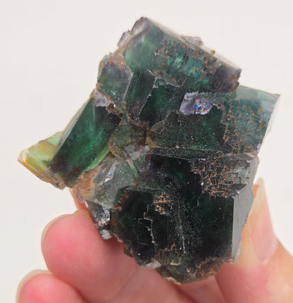 Okorusu Fluorite