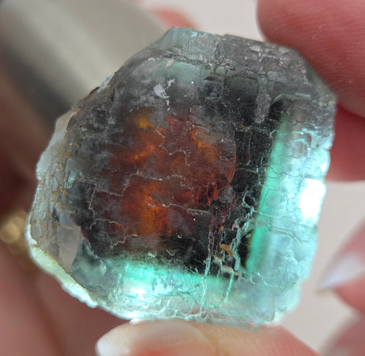 Erongo Fluorite