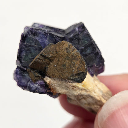 Erongo Fluorite