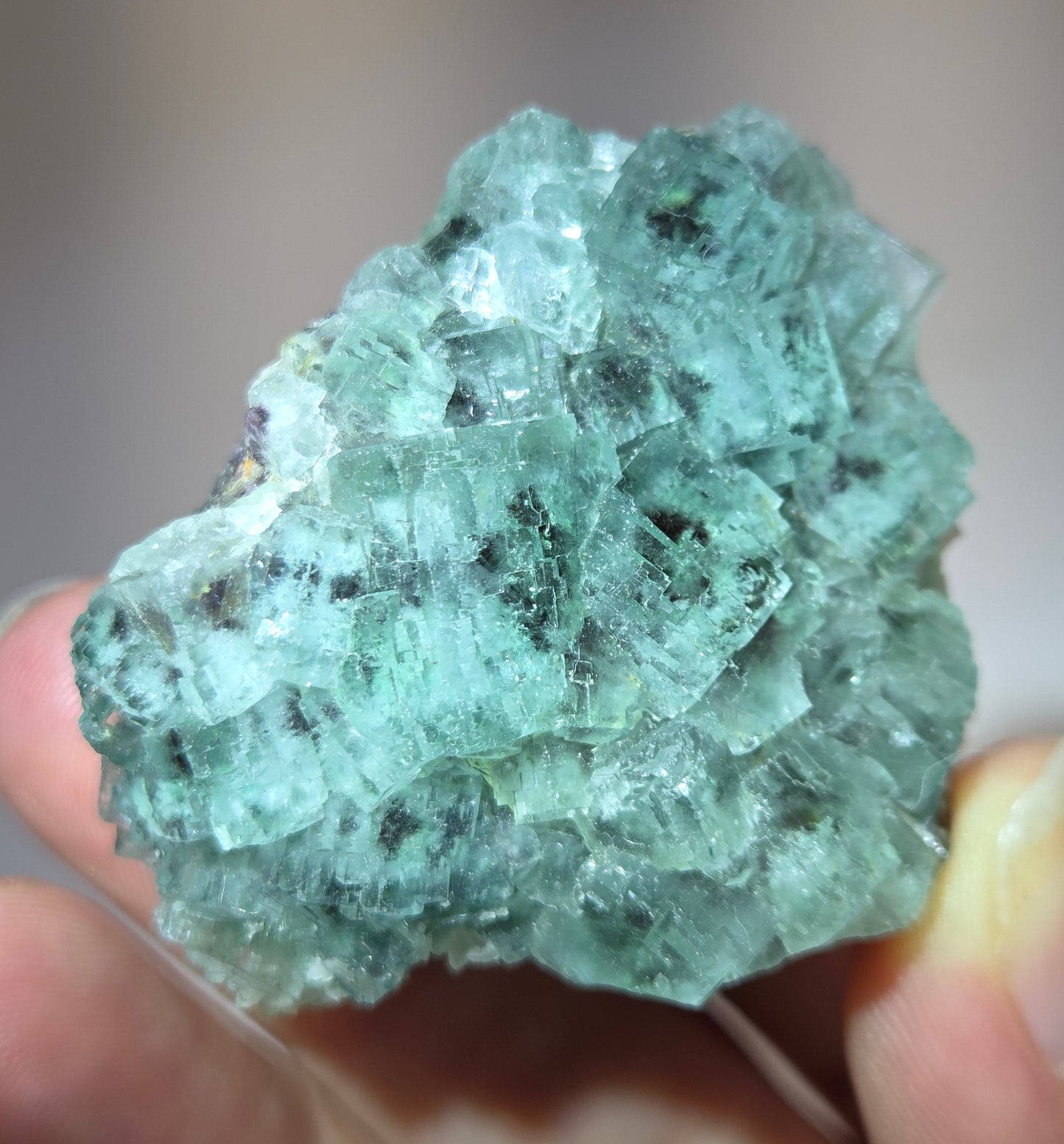 Okorusu Fluorite