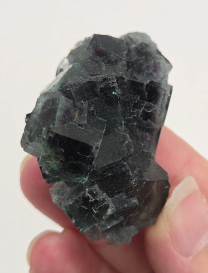 Okorusu Fluorite