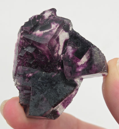 Okorusu Fluorite
