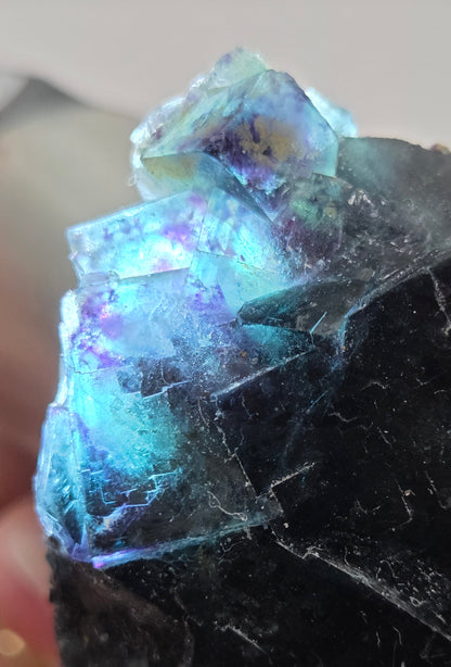 Okorusu Fluorite