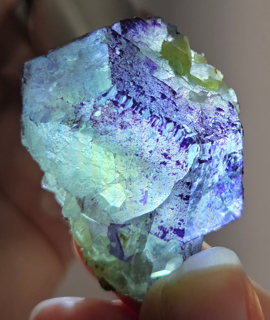 Erongo Fluorite