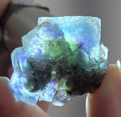 Erongo Fluorite