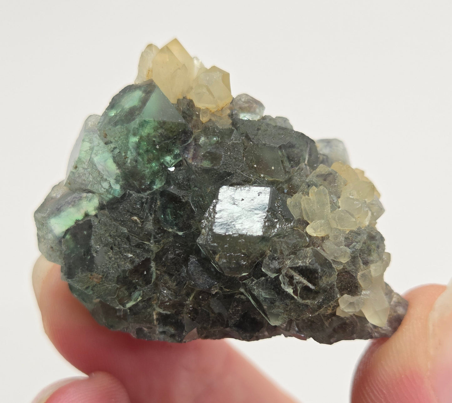 Okorusu Fluorite