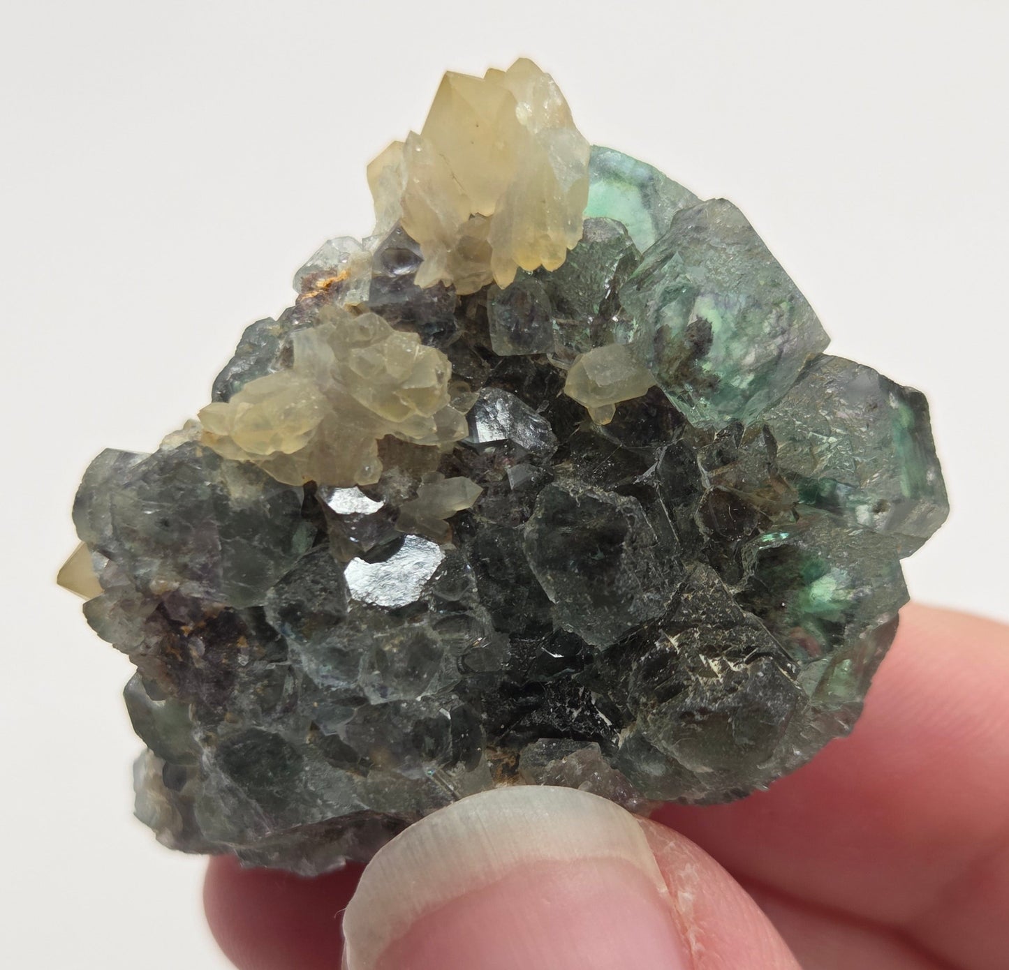 Okorusu Fluorite