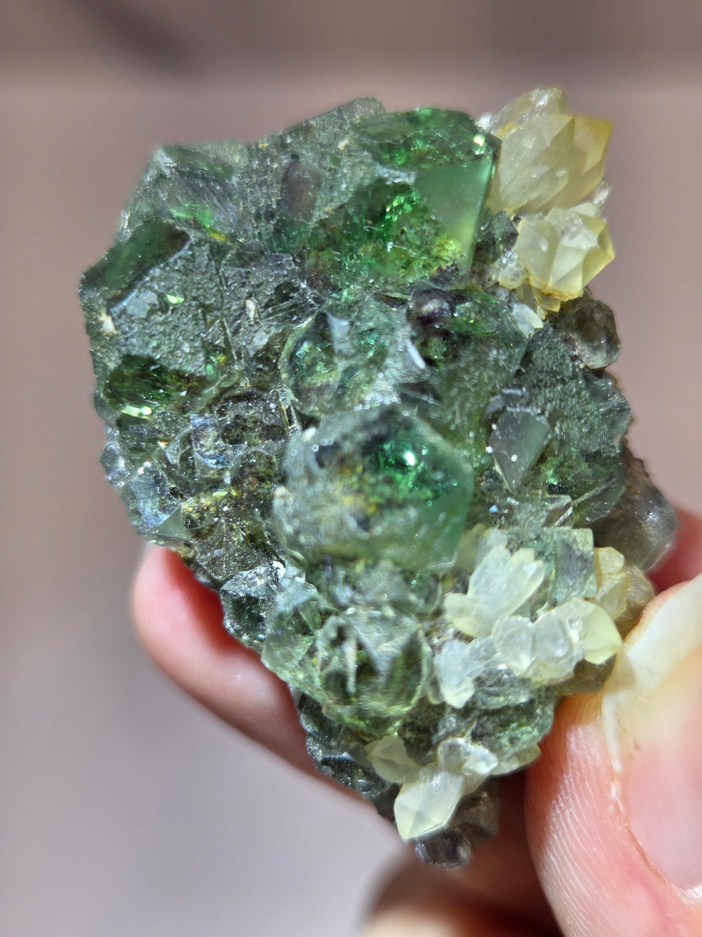 Okorusu Fluorite