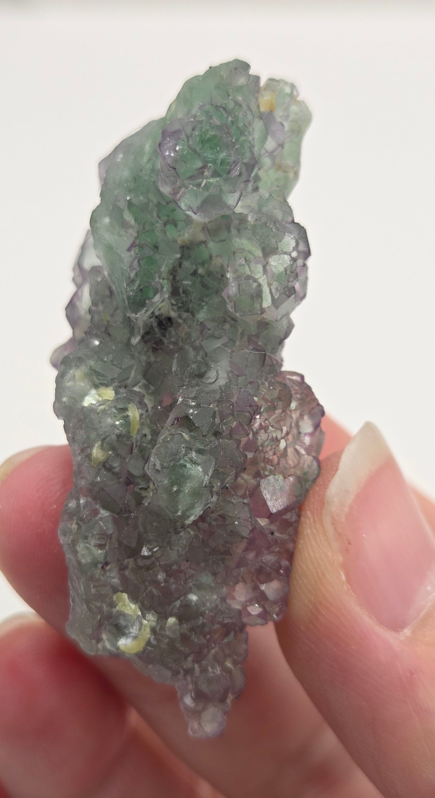 Okorusu Fluorite