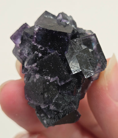 Okorusu Fluorite