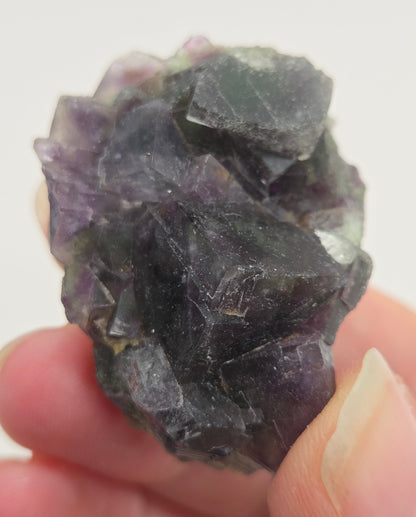Okorusu Fluorite