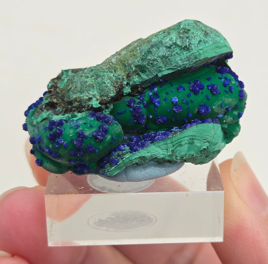 Malachite w/ Azurite