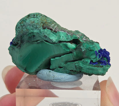 Malachite w/ Azurite