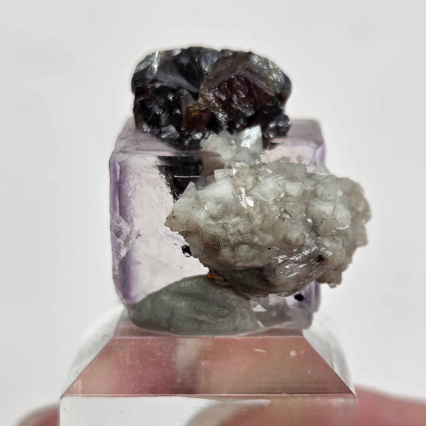 Elmwood Fluorite
