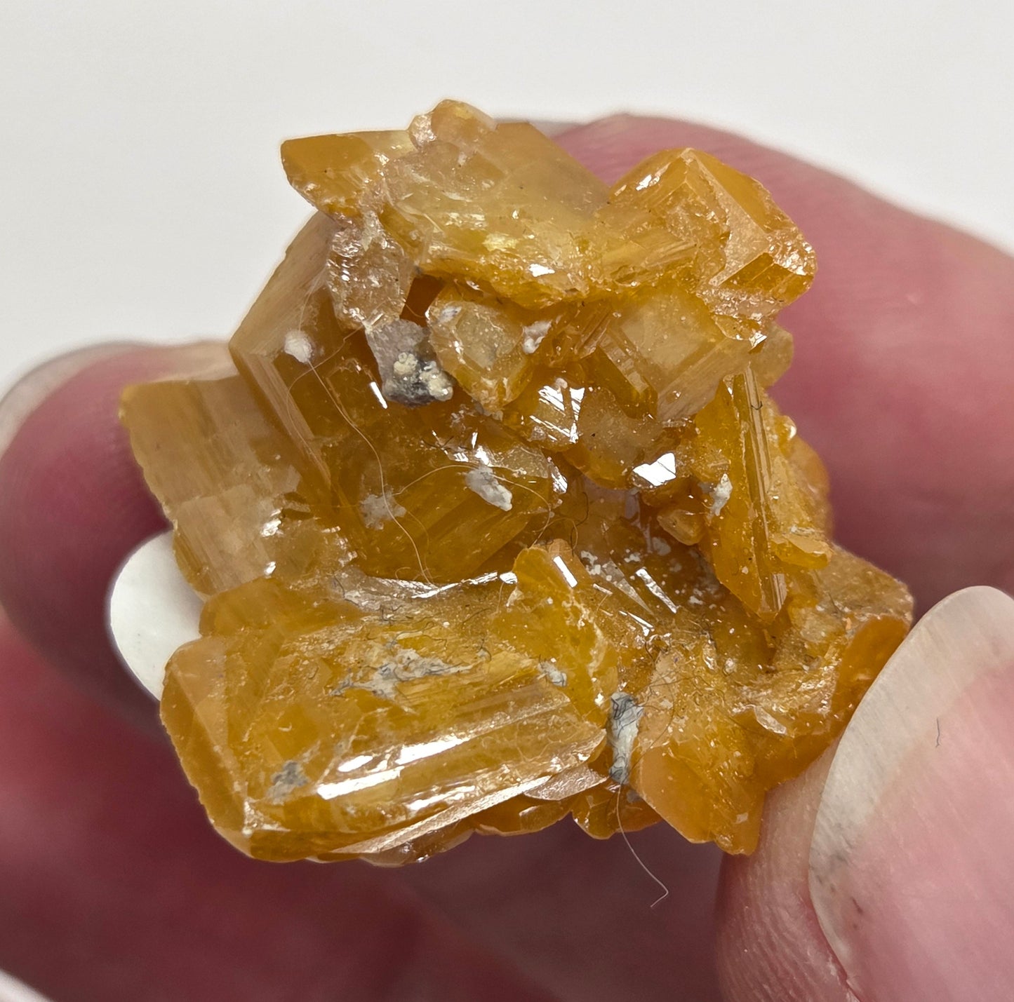 Wulfenite