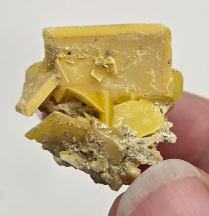 Wulfenite