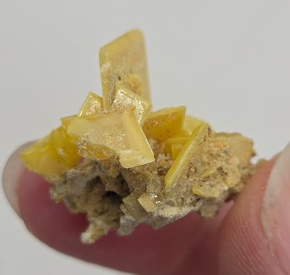 Wulfenite