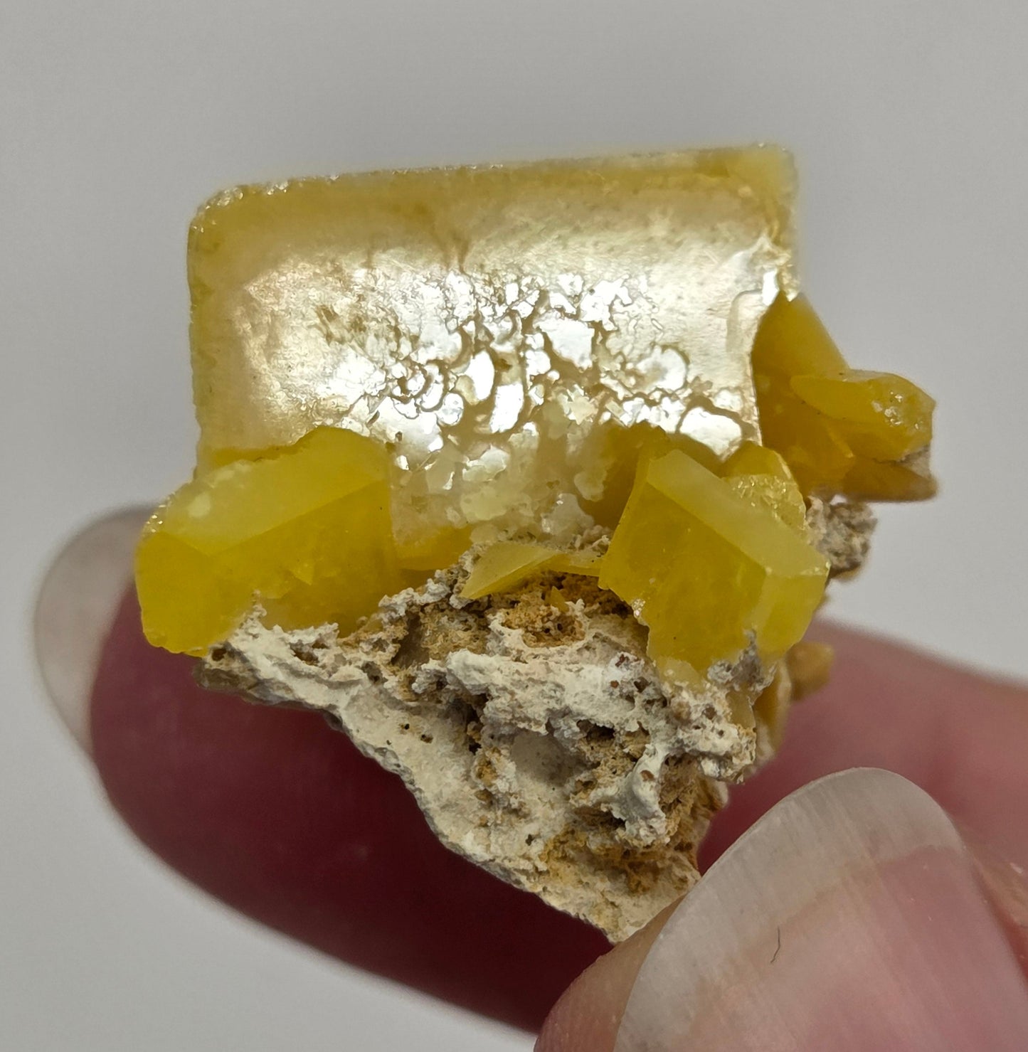Wulfenite