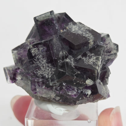 Okorusu Fluorite