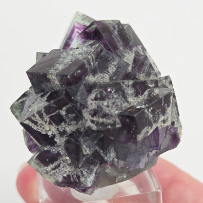 Okorusu Fluorite
