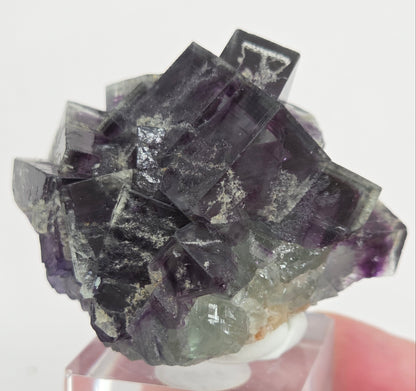 Okorusu Fluorite