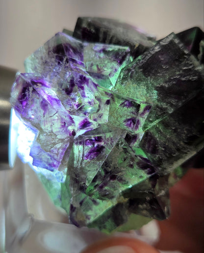 Okorusu Fluorite