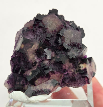 Okorusu Fluorite