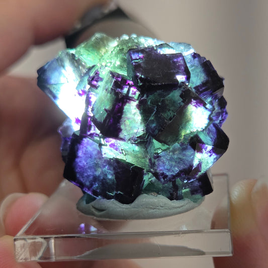 Okorusu Fluorite