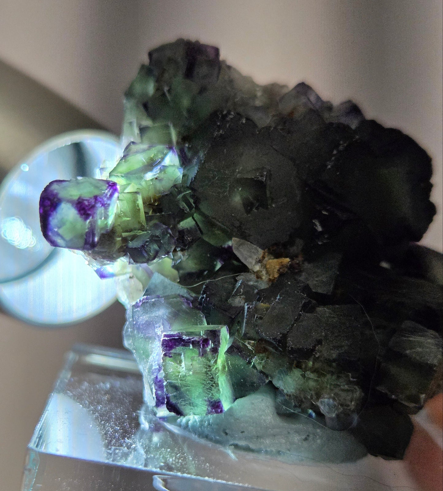 Okorusu Fluorite