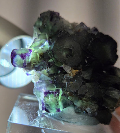 Okorusu Fluorite
