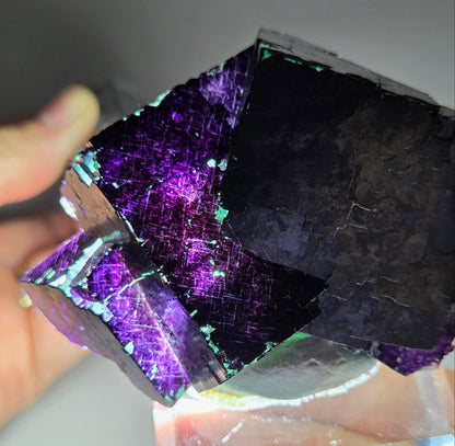 Okorusu Fluorite - 11:11 Angel Pocket