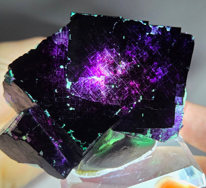 Okorusu Fluorite - 11:11 Angel Pocket