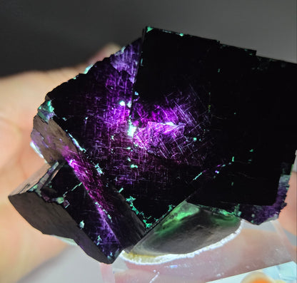 Okorusu Fluorite - 11:11 Angel Pocket