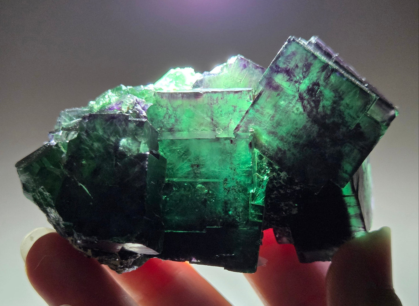 Okorusu Fluorite - Tie Dyed Pocket