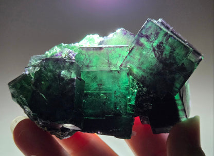 Okorusu Fluorite - Tie Dyed Pocket