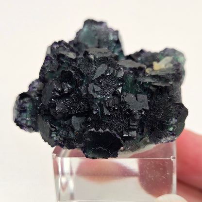 Okorusu Fluorite