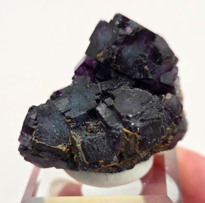 Okorusu Fluorite