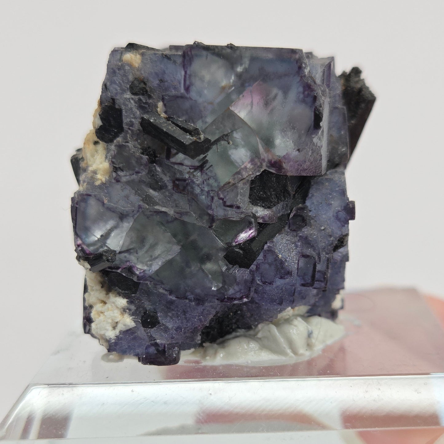 Erongo Fluorite w/ Black Schorl