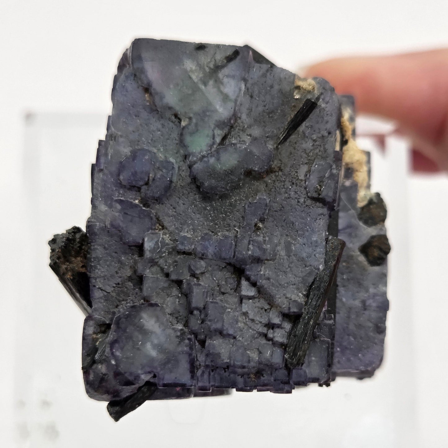 Erongo Fluorite w/ Black Schorl