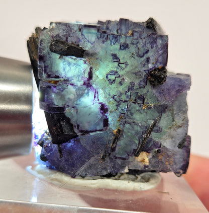 Erongo Fluorite w/ Black Schorl