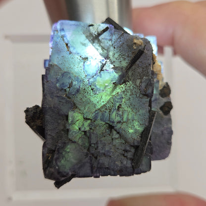 Erongo Fluorite w/ Black Schorl