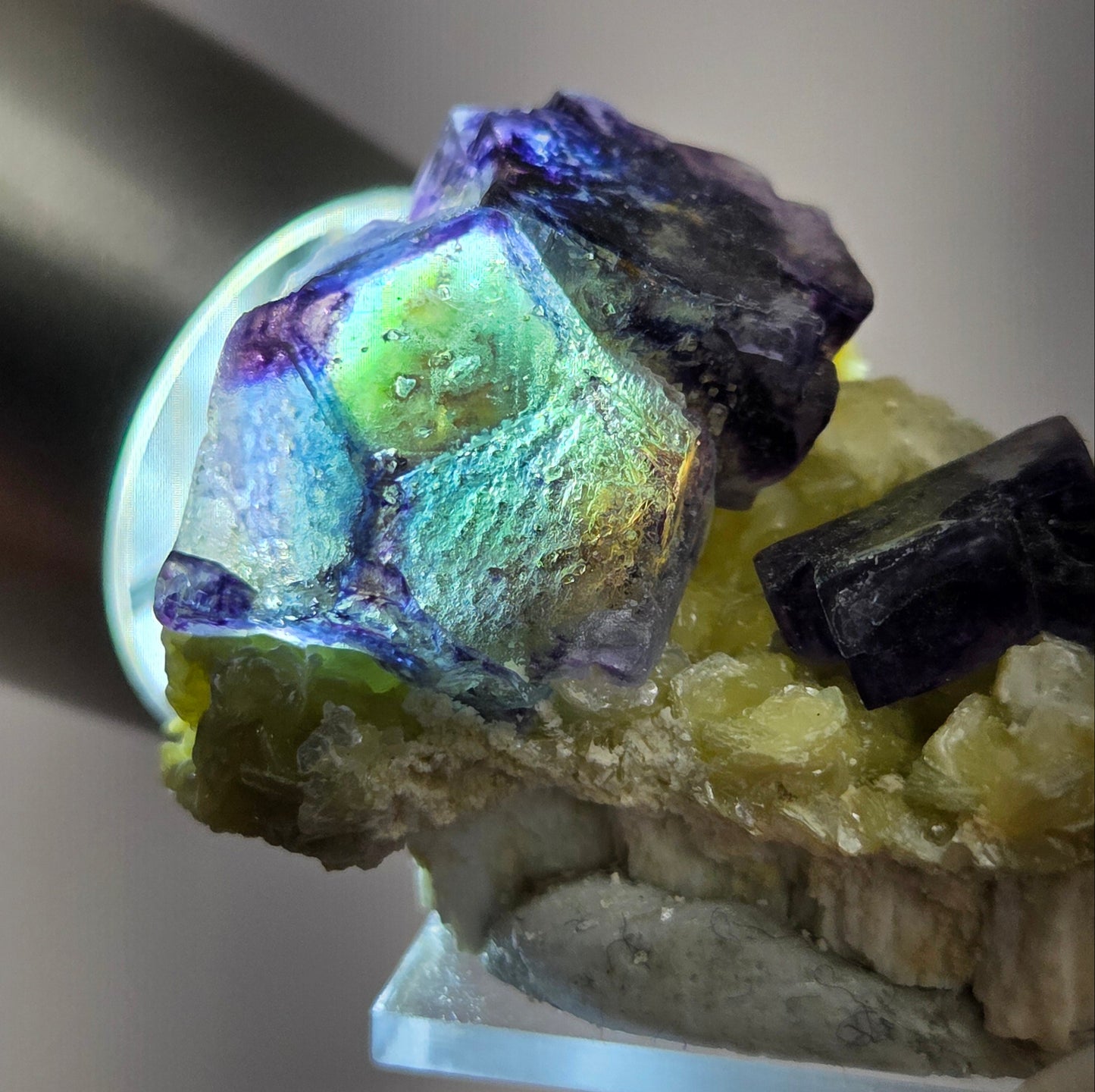 Erongo Fluorite
