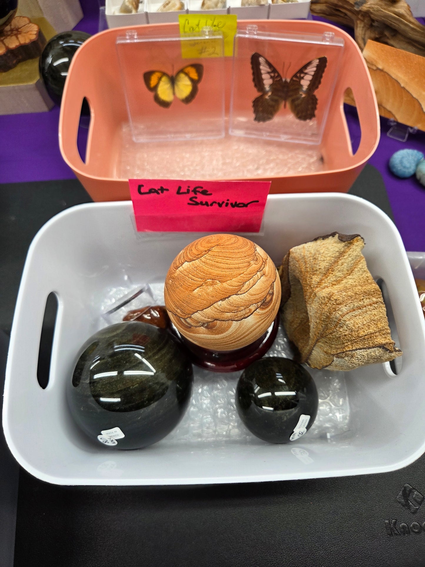 @Cat Life Survivor invoice 10/27