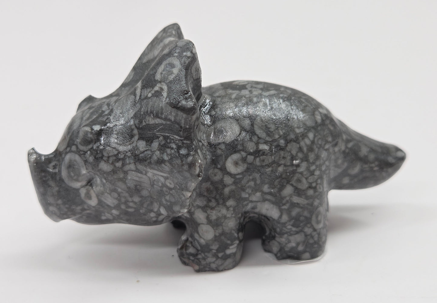 Triceratops carving (L)