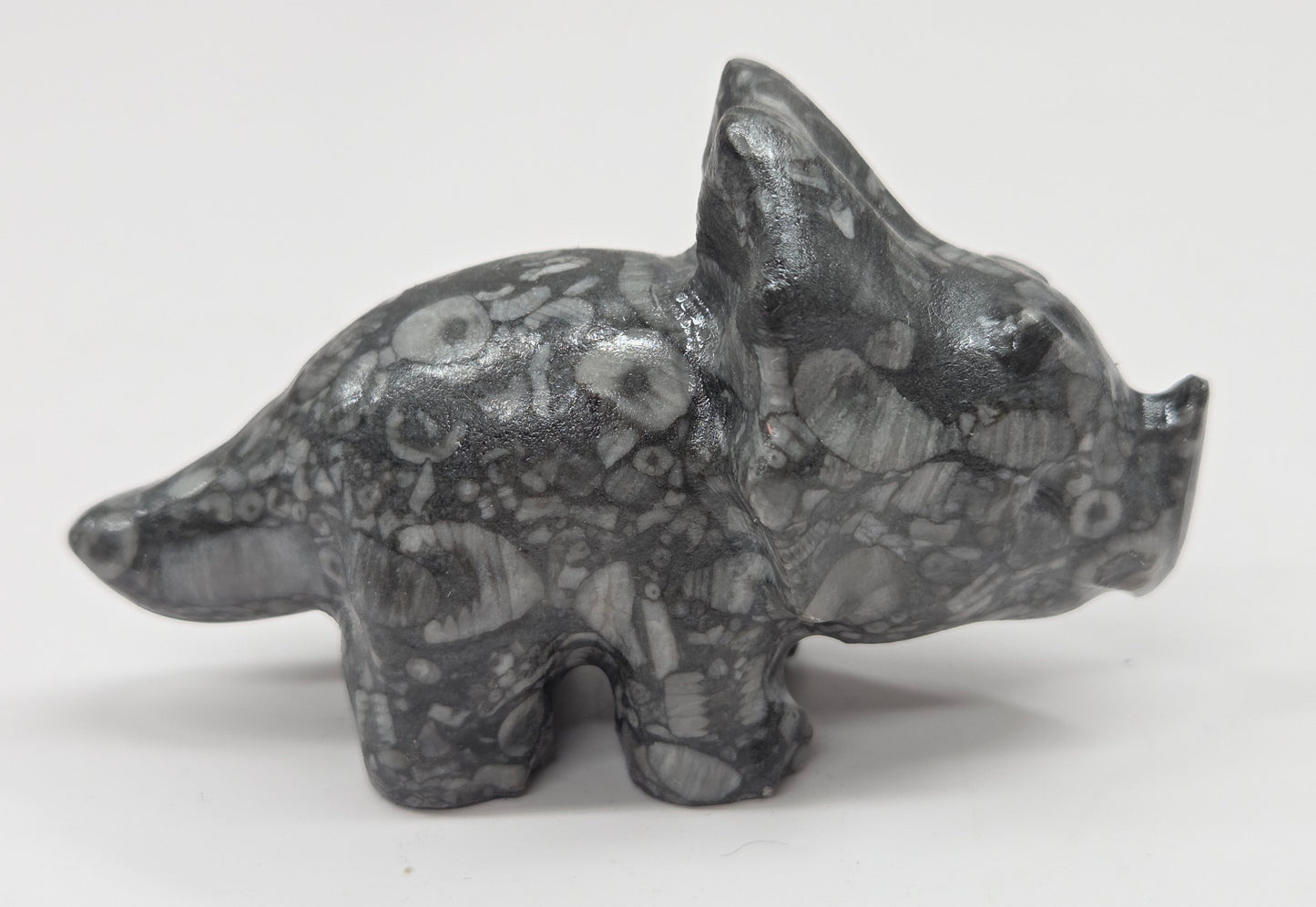 Triceratops carving (L)