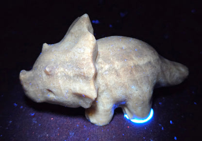 Triceratops carving (L)